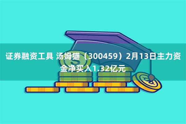 证券融资工具 汤姆猫（300459）2月13日主力资金净买入1.32亿元